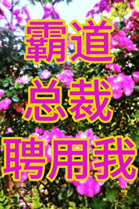 霸道总裁要我in土豪