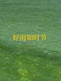 好雨知时节的全诗