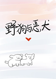 野狗与恶犬讲的是什么内容