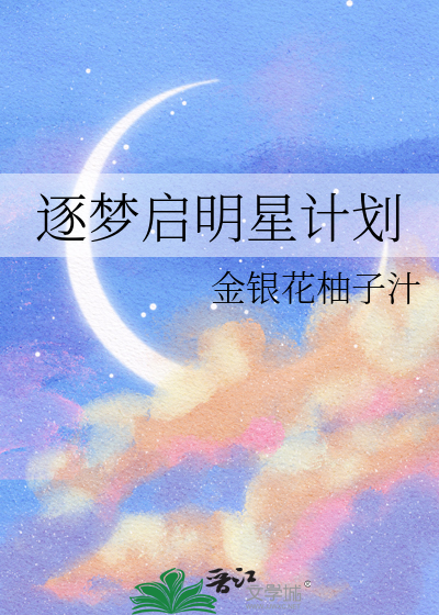 逐梦启航攻略
