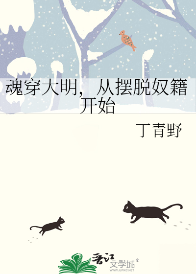 魂穿大明王朝