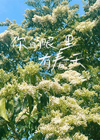 我是学生，皇位给我