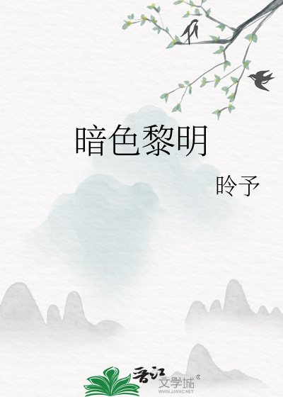 小说暗夜与黎明