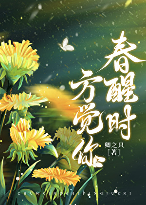白玉兰和南极星
